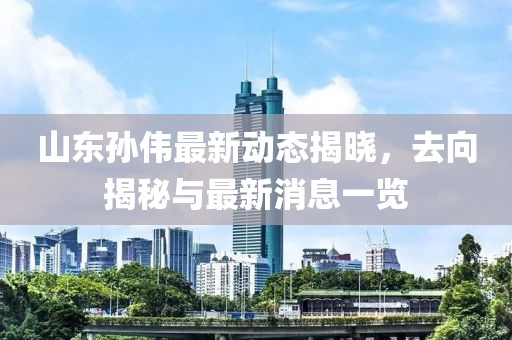 山東孫偉最新動(dòng)態(tài)揭曉，去向揭秘與最新消息一覽