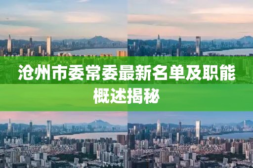 滄州市委常委最新名單及職能概述揭秘