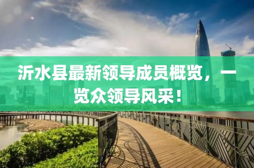 沂水縣最新領導成員概覽，一覽眾領導風采！