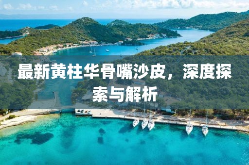 最新黃柱華骨嘴沙皮，深度探索與解析