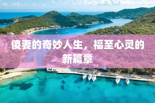 傻妻的奇妙人生，福至心靈的新篇章