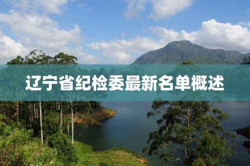 遼寧省紀(jì)檢委最新名單概述