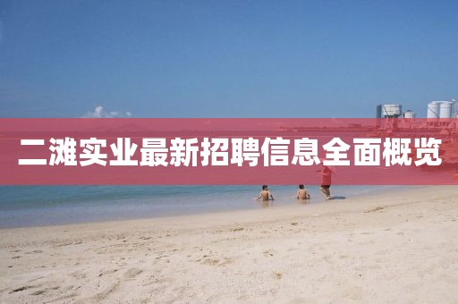 二灘實業(yè)最新招聘信息全面概覽