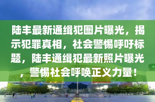 陸豐最新通緝犯圖片曝光，揭示犯罪真相，社會(huì)警惕呼吁標(biāo)題，陸豐通緝犯最新照片曝光，警惕社會(huì)呼喚正義力量！