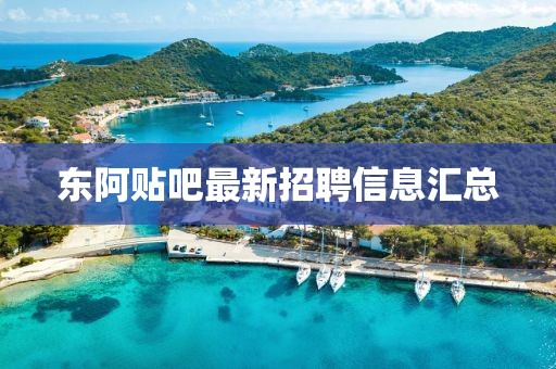東阿貼吧最新招聘信息匯總