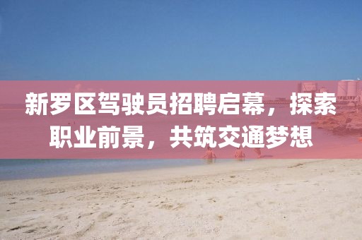 新羅區(qū)駕駛員招聘啟幕，探索職業(yè)前景，共筑交通夢想