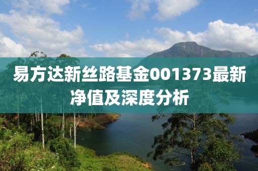 易方達(dá)新絲路基金001373最新凈值及深度分析