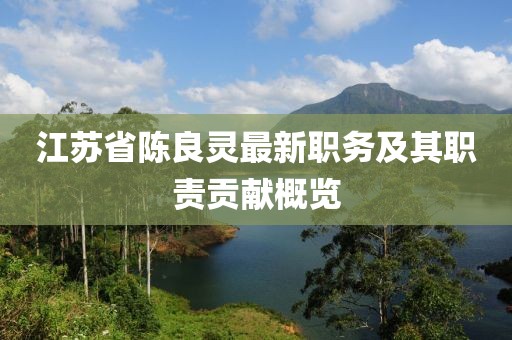 江蘇省陳良靈最新職務(wù)及其職責(zé)貢獻(xiàn)概覽