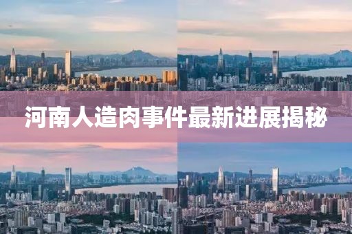 河南人造肉事件最新進(jìn)展揭秘