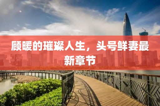 顧暖的璀璨人生，頭號鮮妻最新章節(jié)