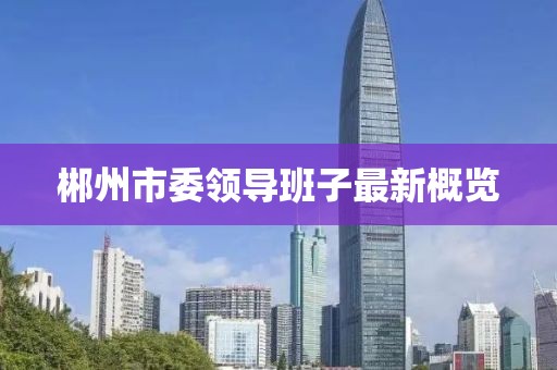 郴州市委領導班子最新概覽