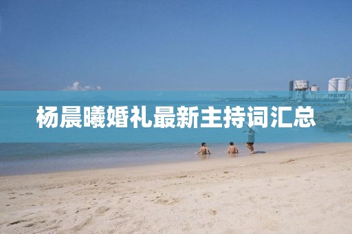 楊晨曦婚禮最新主持詞匯總