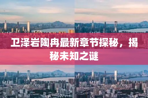 衛(wèi)澤巖陶冉最新章節(jié)探秘，揭秘未知之謎