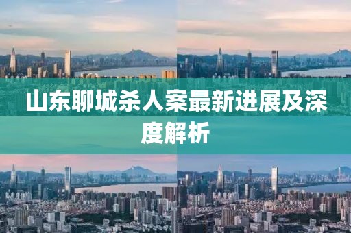 山東聊城殺人案最新進(jìn)展及深度解析