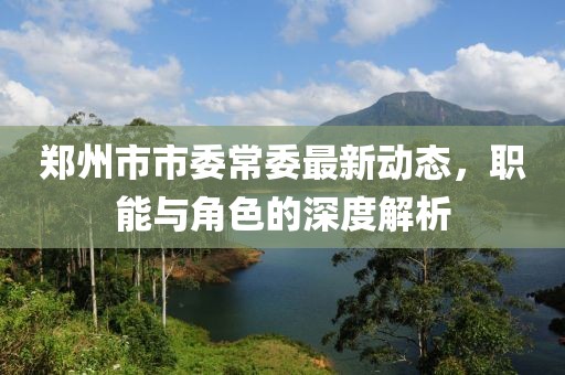 鄭州市市委常委最新動(dòng)態(tài)，職能與角色的深度解析