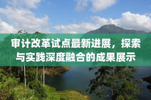 審計改革試點最新進展，探索與實踐深度融合的成果展示