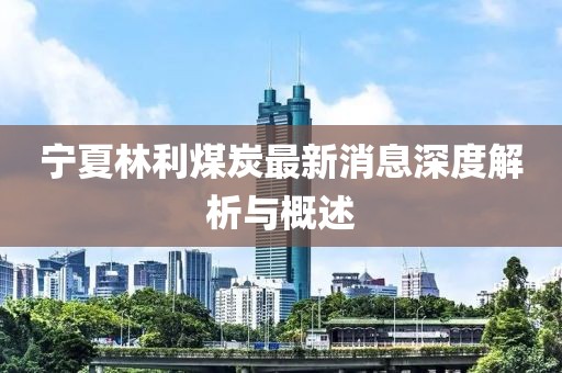 寧夏林利煤炭最新消息深度解析與概述