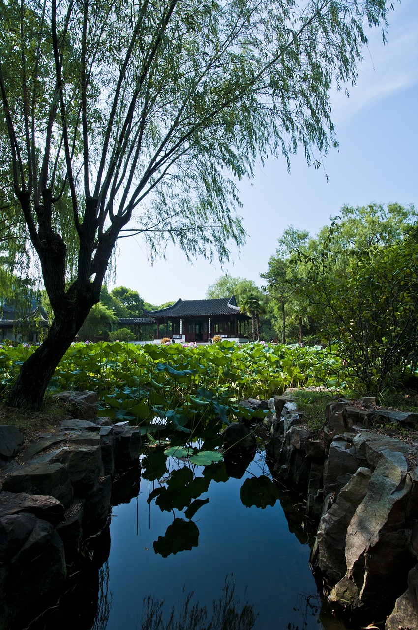源味 第25頁(yè)