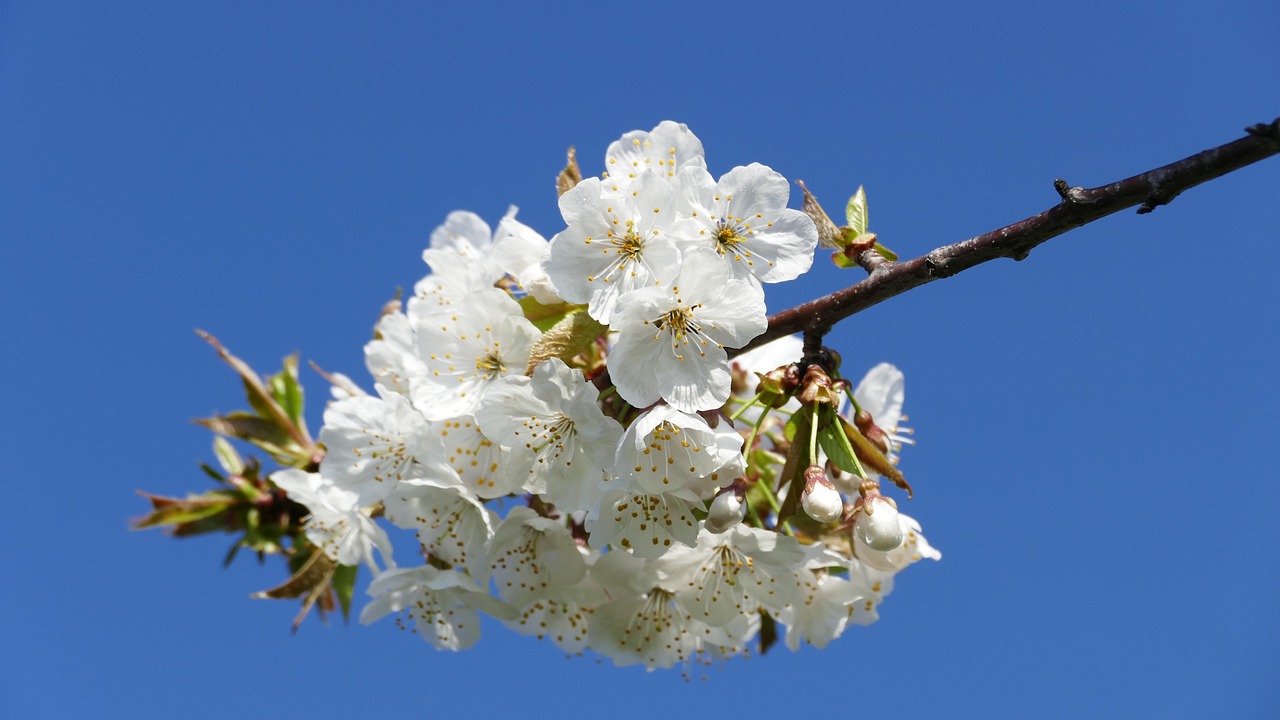 興永郴贛鐵路進(jìn)展順利，助力區(qū)域經(jīng)濟(jì)發(fā)展新動(dòng)態(tài)