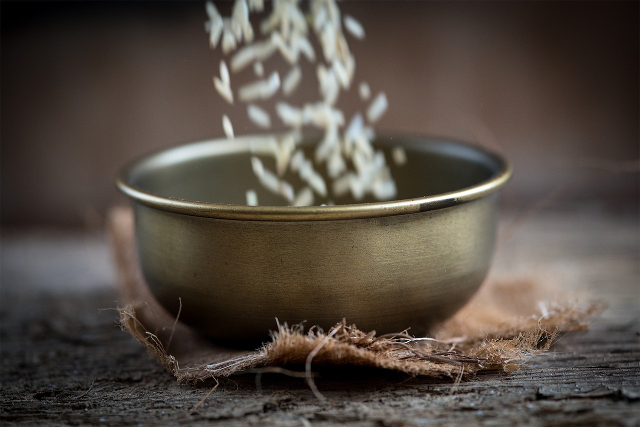 湛江御景珺庭最新動(dòng)態(tài)揭秘，城市璀璨明珠的隱藏魅力