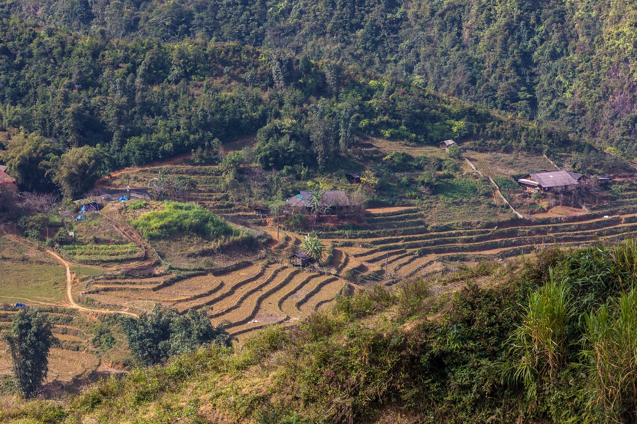 符離鎮(zhèn)最新規(guī)劃圖揭曉，展望繁榮未來，符離鎮(zhèn)2016規(guī)劃展望