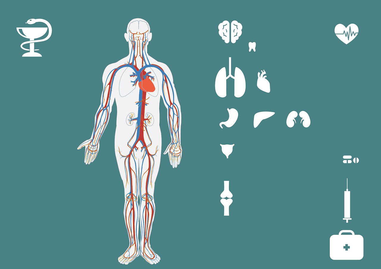 急診搶救流程圖優(yōu)化，提升搶救成功率與急救服務(wù)質(zhì)量