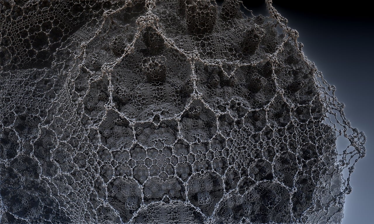 遼寧隋顯利最新動(dòng)態(tài)，傳奇人物的嶄新篇章
