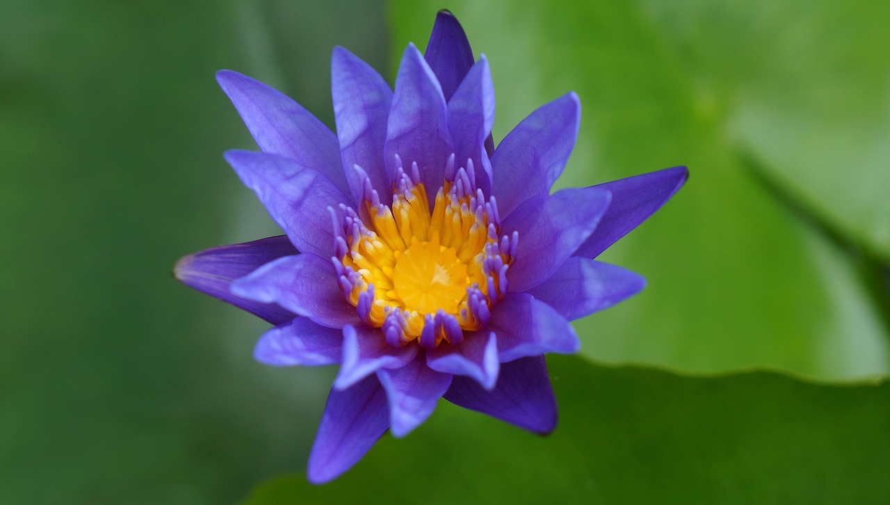 雙陽(yáng)區(qū)火車(chē)站邁向現(xiàn)代化，提升服務(wù)質(zhì)量，最新動(dòng)態(tài)報(bào)告
