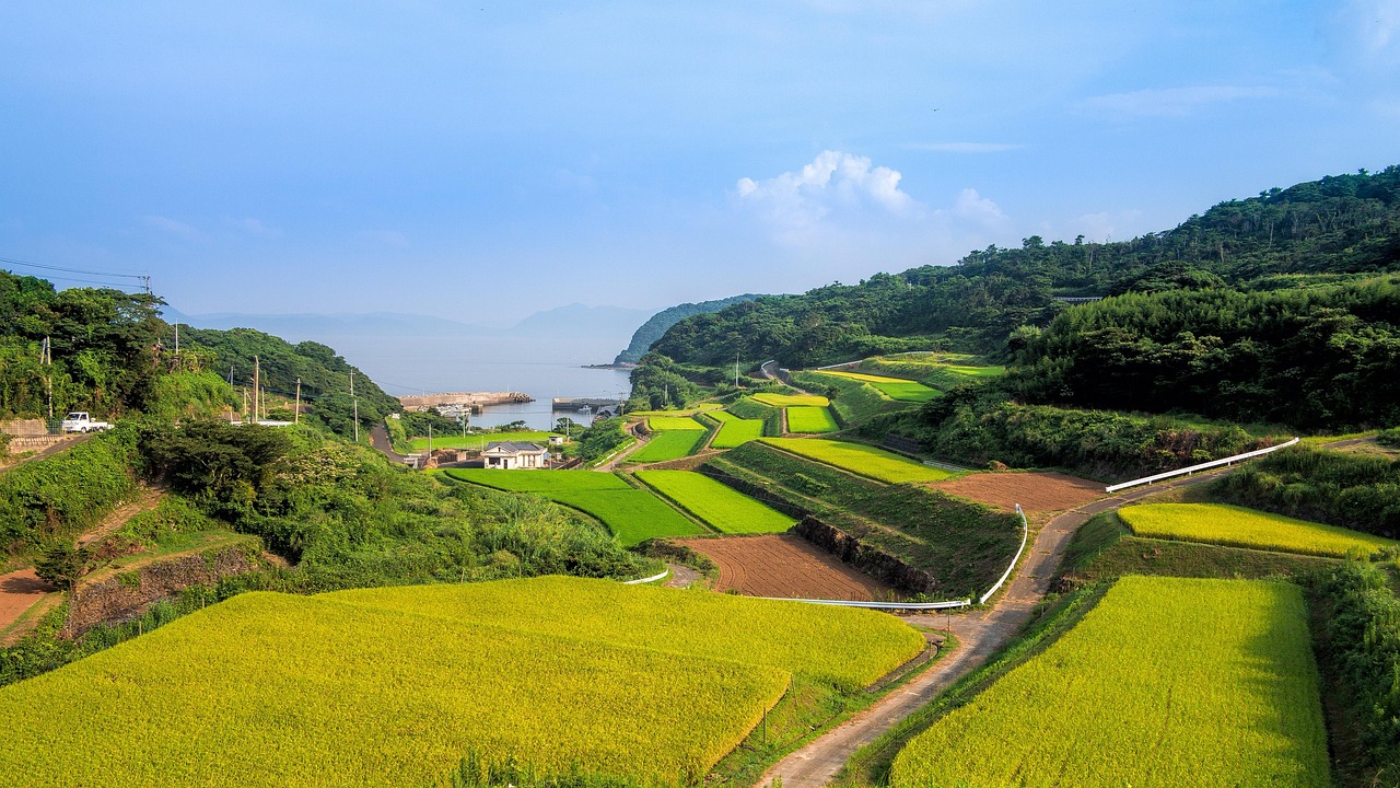 廣西靈山高速建設(shè)進(jìn)展揭秘，最新消息與未來展望