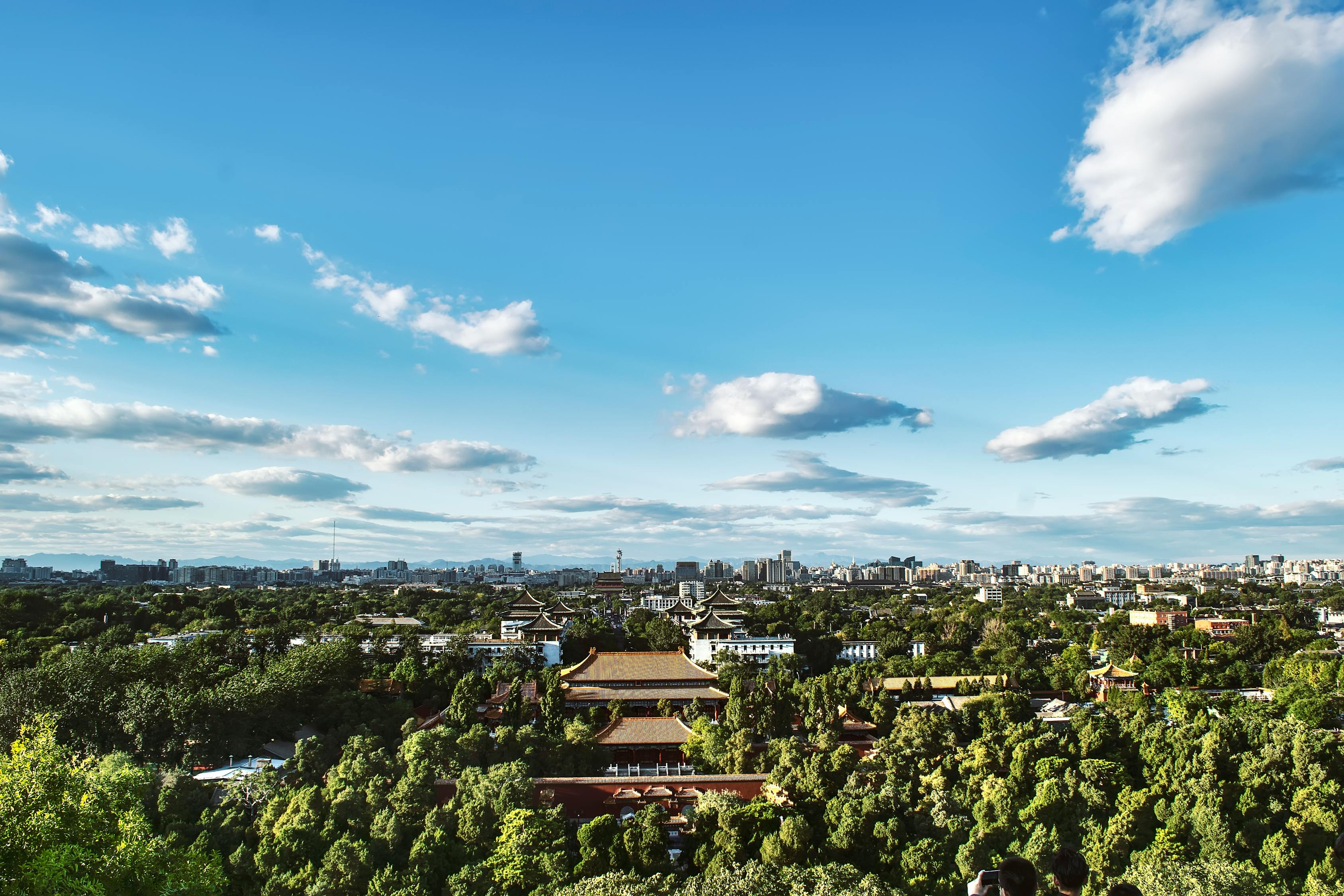 長沙洞井路最新動(dòng)態(tài)，城市發(fā)展與民生改善同步前行