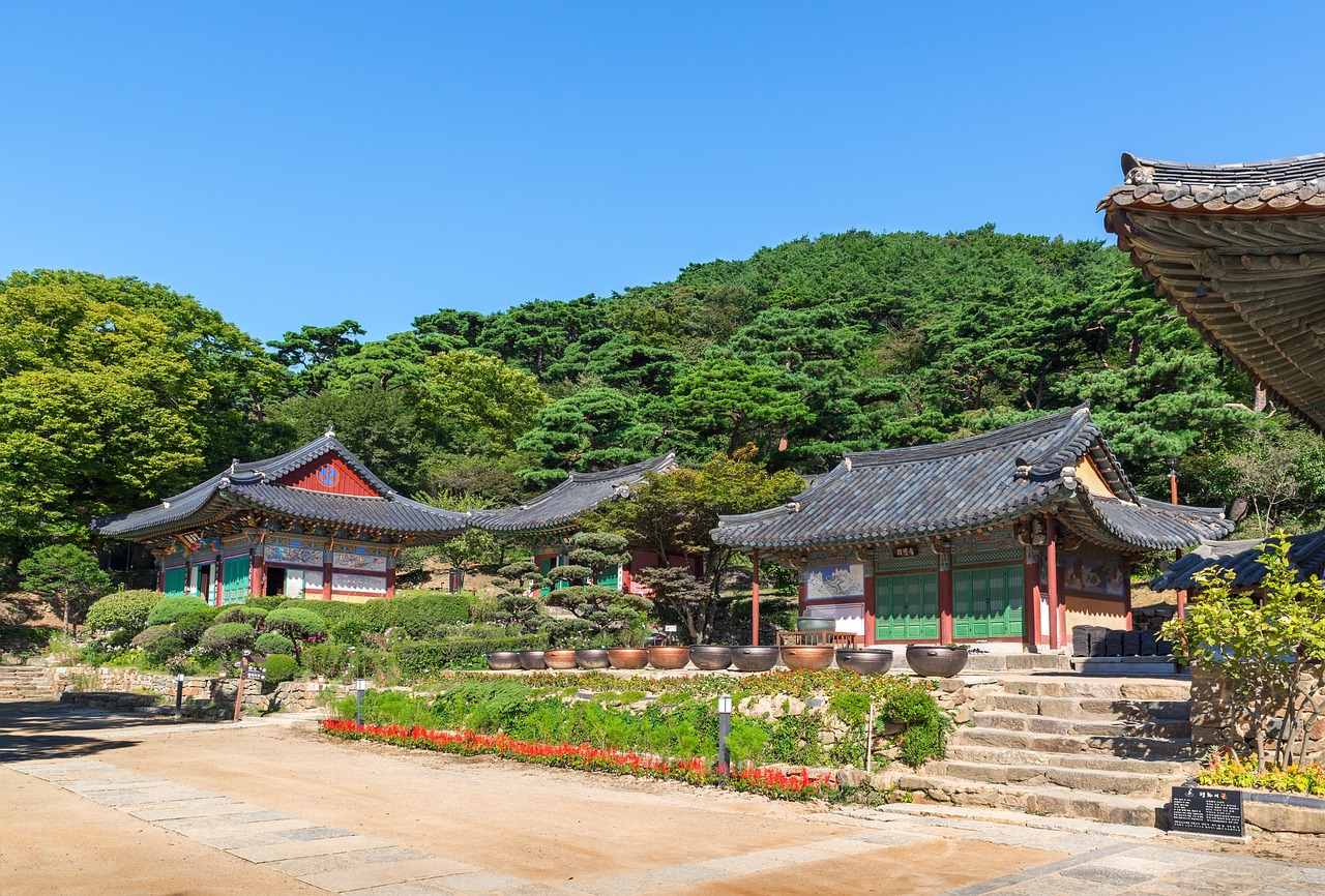廣饒四季花城，繁榮盛景與未來期待揭秘