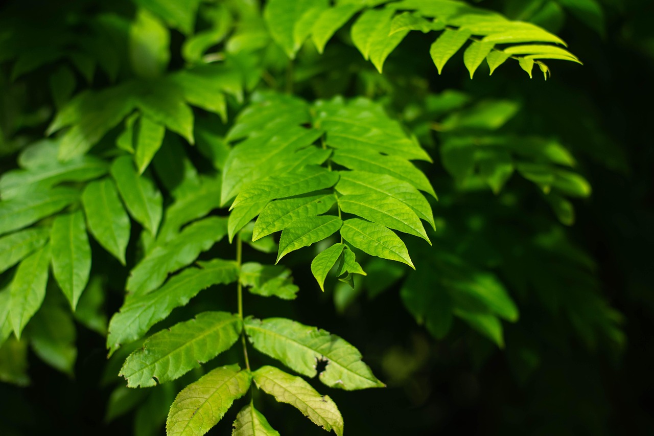 北海水印泉山最新動態(tài)，城市發(fā)展與綠色生態(tài)的和諧共鳴
