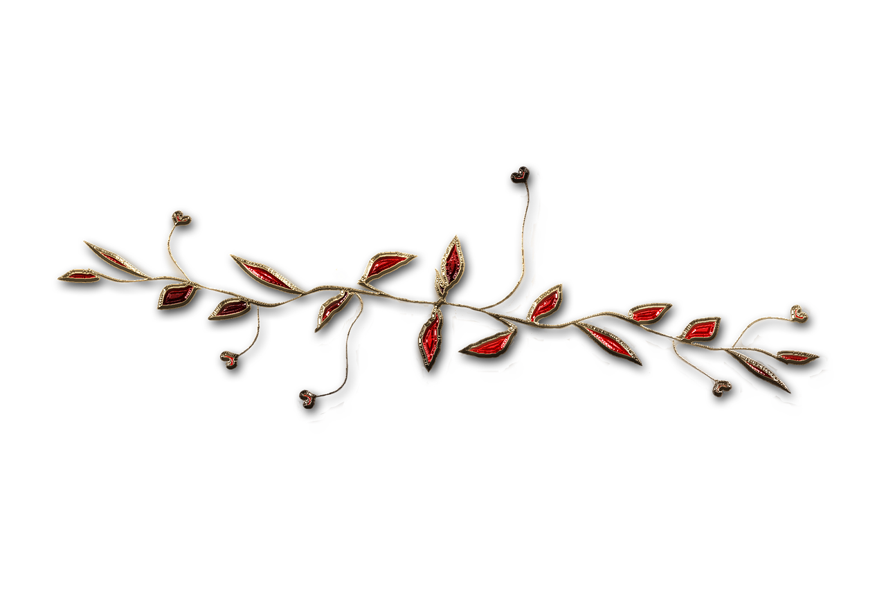 廣西大紅八角產(chǎn)業(yè)蓬勃發(fā)展，前景廣闊，最新消息與動(dòng)態(tài)