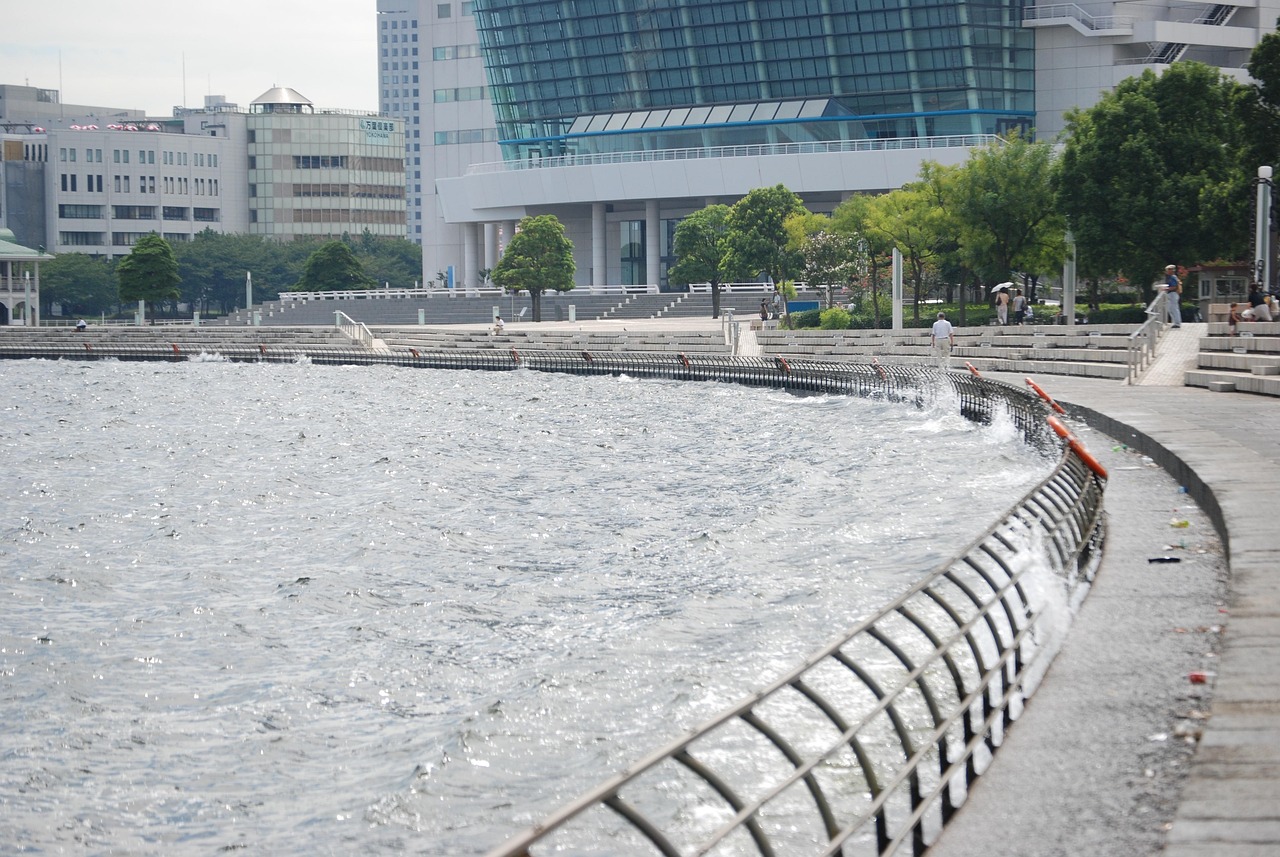 鄭州海昌海洋公園最新動態(tài)揭秘，揭開神秘面紗，展現(xiàn)海洋魅力奇觀