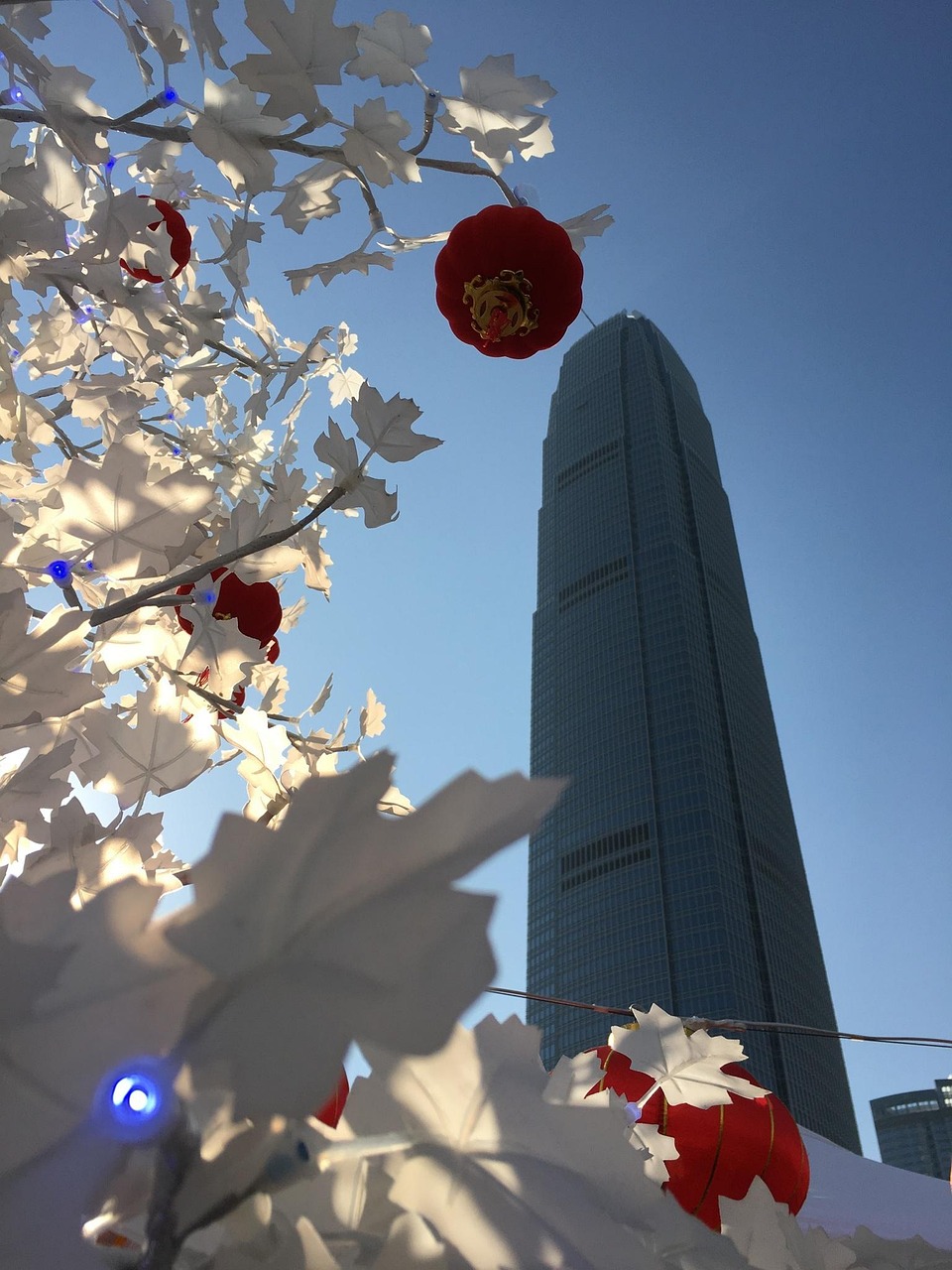 漫漫長(zhǎng)夜新版本砍樹探索，全新體驗(yàn)之旅